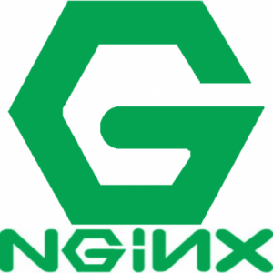 client intended to send too large body nginx