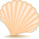 UNIX(Linux)のシェル (Shell) の種類と機能、役割