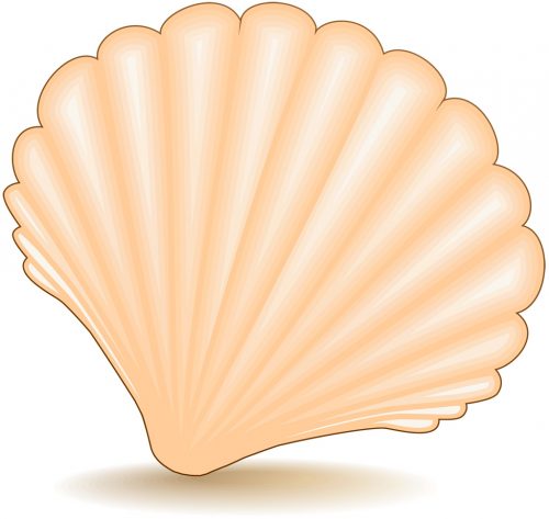 UNIX(Linux)のシェル (Shell) の種類と機能、役割 (ウラシタドットコム)